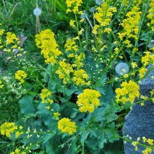 Meet your Posher, Hong